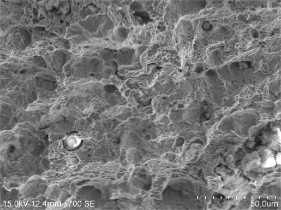 沖擊模擬斷口微觀形貌，韌窩特征