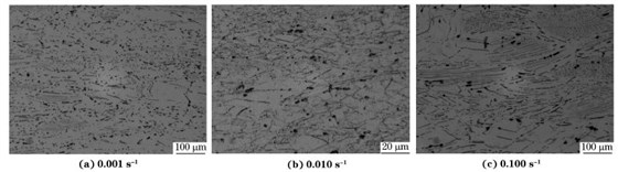 圖６ 在９８０ ℃、不同應(yīng)變速率下壓縮至應(yīng)變量為７０％后GH４１６９合金的顯微組織