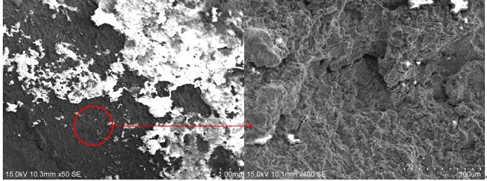 圖2 斷口源區(qū)宏、微觀形貌，沿晶特征+二次裂紋
