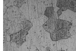 圖5-27 2A01合金螺栓淬火時(shí)效金相組織 400&times;