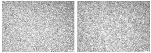 30CrMnSi沉頭螺栓未熱處理金相組織