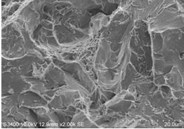 圖12-63 擴(kuò)展區(qū)斷口微觀形貌。