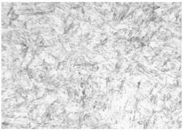 圖5-7 1Cr11Ni2W2MoV螺栓淬火高溫回火金相組織 200&times;