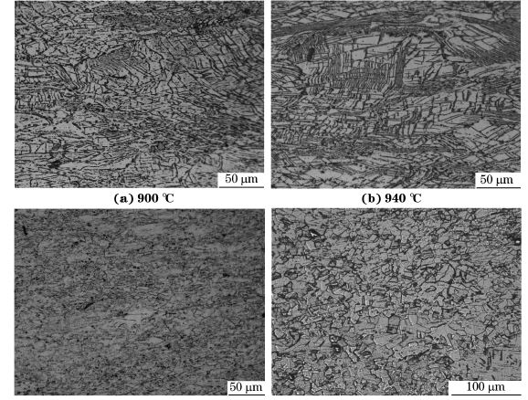 圖５ 在不同溫度、應(yīng)變速率為０．０１０s－１下壓縮至應(yīng)變量為７０％后GH４１６９合金的顯微組織