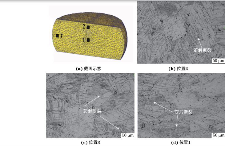 在９８０ ℃、應(yīng)變速率為０．０１０s－１下壓縮至應(yīng)變量為３０％后