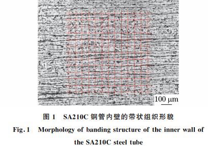 圖１ SA２１０C鋼管內壁的帶狀組織形貌
